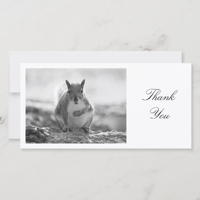 Tarjeta De Agradecimiento Gray Squirrel BW - Gracias (Anverso)