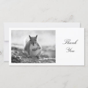 Tarjeta De Agradecimiento Gray Squirrel BW - Gracias