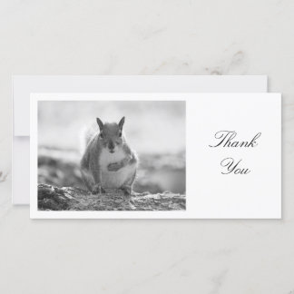 Tarjeta De Agradecimiento Gray Squirrel BW - Gracias