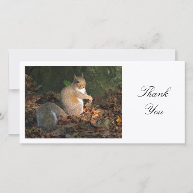 Tarjeta De Agradecimiento Gray Squirrel - Gracias (Anverso)