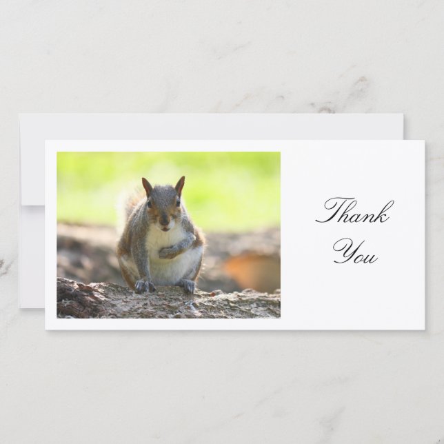 Tarjeta De Agradecimiento Gray Squirrel - Gracias (Anverso)