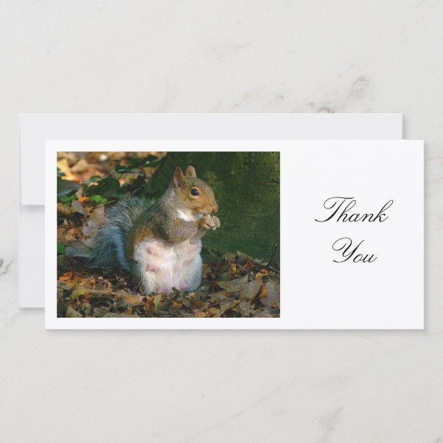 Tarjeta De Agradecimiento Gray Squirrel - Gracias (Anverso)