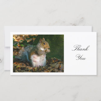 Tarjeta De Agradecimiento Gray Squirrel - Gracias
