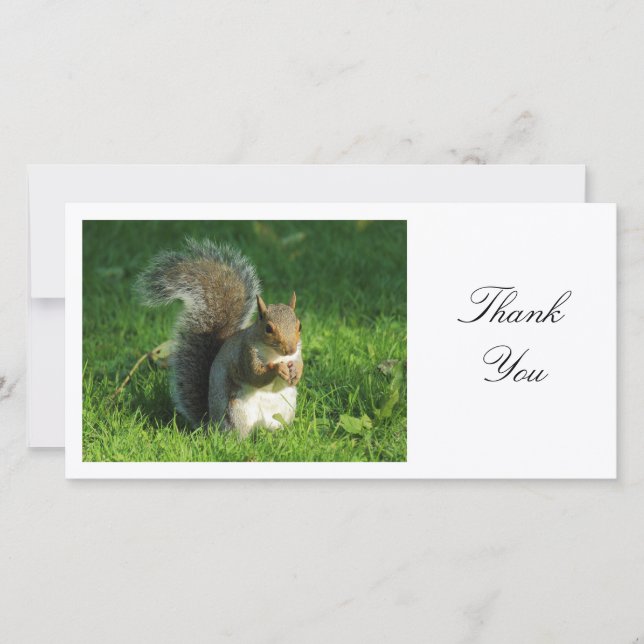 Tarjeta De Agradecimiento Gray Squirrel - Gracias (Anverso)