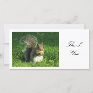 Tarjeta De Agradecimiento Gray Squirrel - Gracias