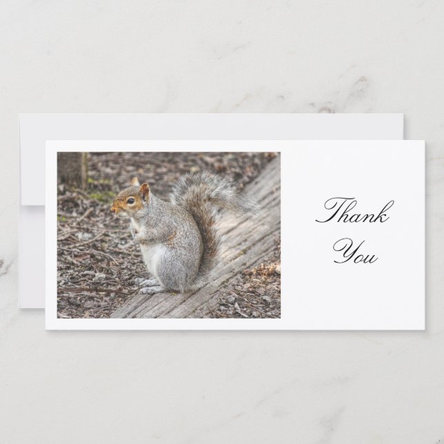 Tarjeta De Agradecimiento Gray Squirrel - Gracias (Anverso)