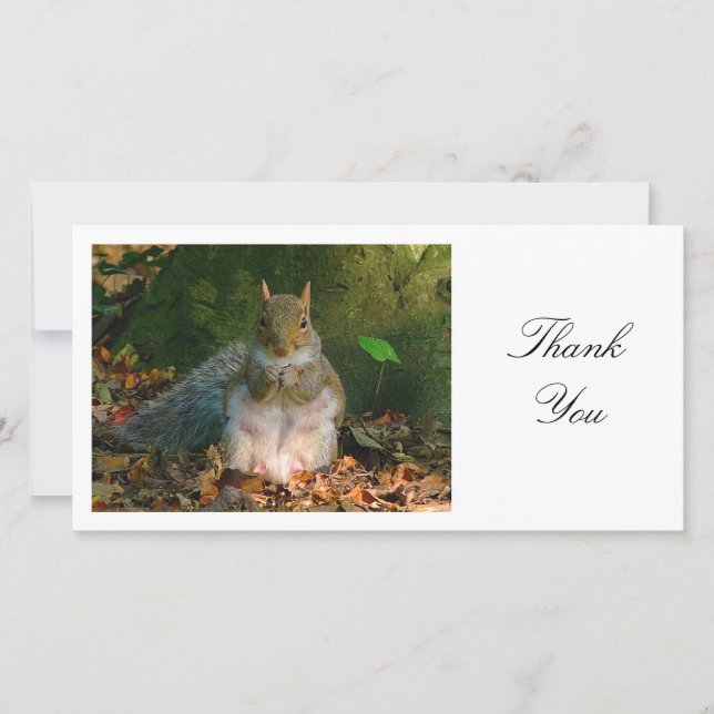 Tarjeta De Agradecimiento Gray Squirrel - Gracias (Anverso)