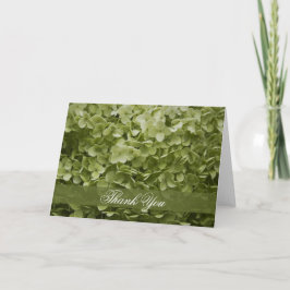 Tarjeta De Agradecimiento Green Annabelle Hydrangea Thank You