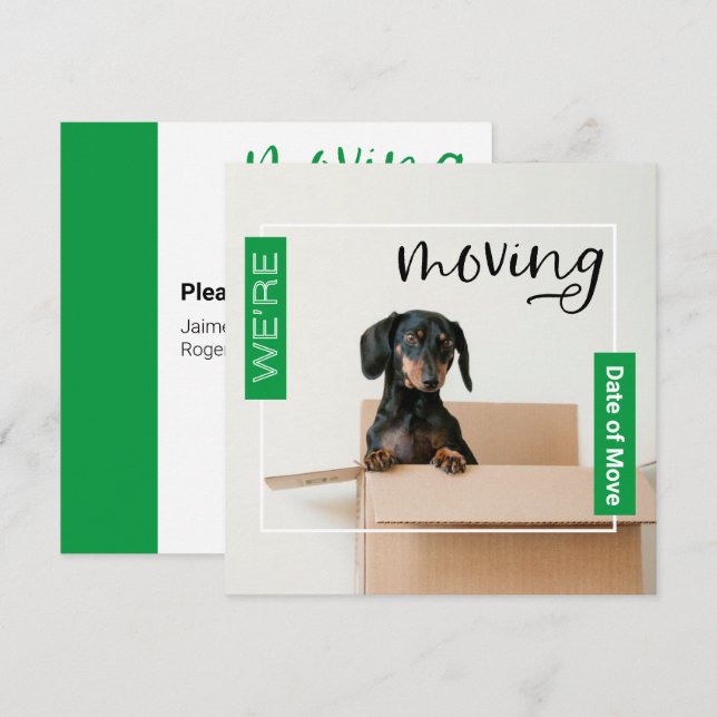 Tarjeta De Agradecimiento Green We're Moving Dachshund Dog in Box Card (Anverso / Reverso)