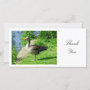 Tarjeta De Agradecimiento Greylag Goose - Gracias