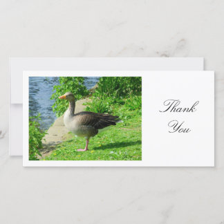 Tarjeta De Agradecimiento Greylag Goose - Gracias