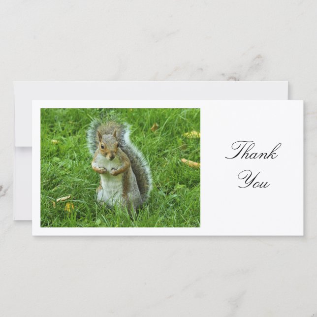 Tarjeta De Agradecimiento Gris Squirrel sobresaltado - Gracias (Anverso)