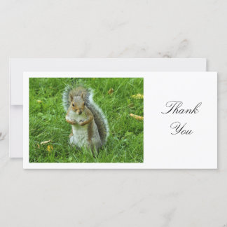 Tarjeta De Agradecimiento Gris Squirrel sobresaltado - Gracias