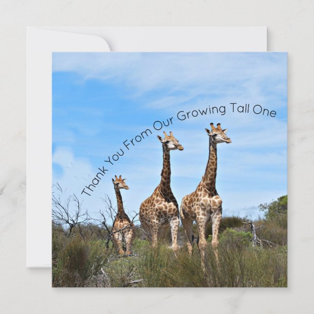 Tarjeta De Agradecimiento Growing Tall Thank You Message (Anverso)