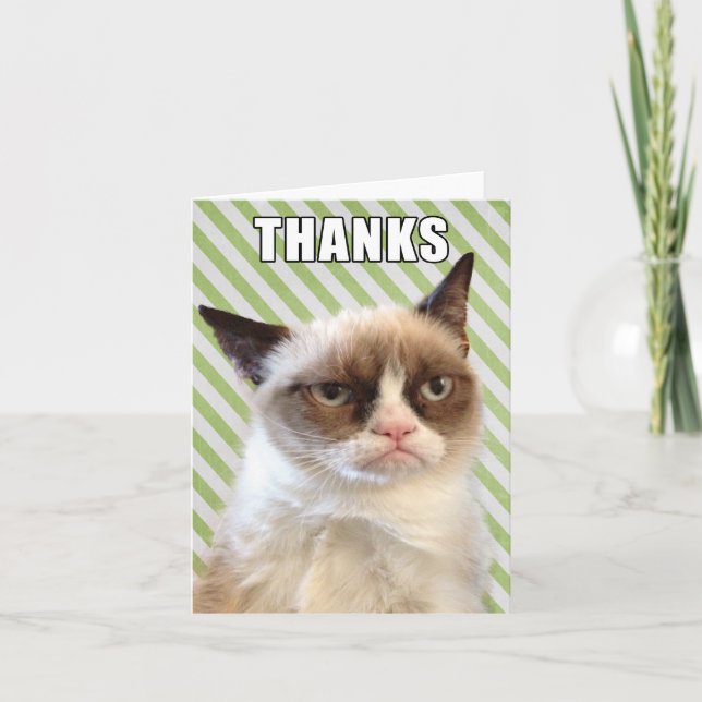 Tarjeta de agradecimiento Grumpy Cat™ (Anverso)
