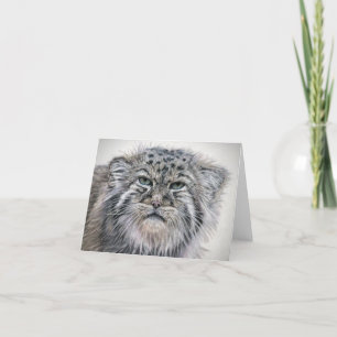 Tarjeta De Agradecimiento Grumpy Pallas Cat notecard