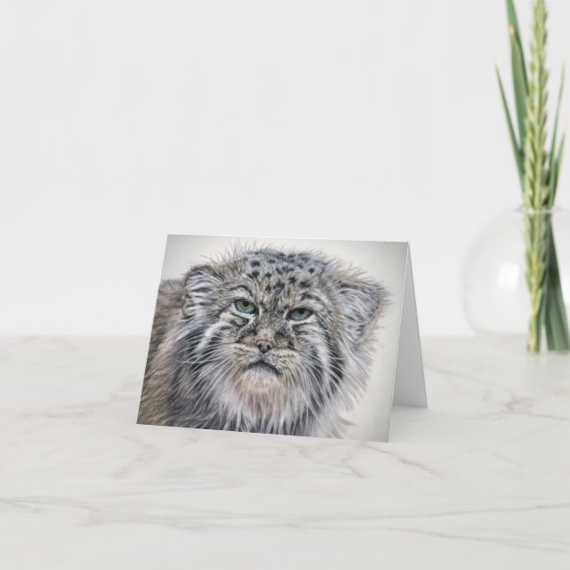 Tarjeta De Agradecimiento Grumpy Pallas Cat notecard (Anverso)