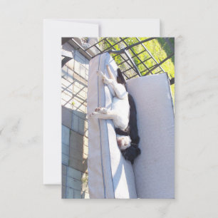 Tarjeta De Agradecimiento grupo de laboratorio durmiendo