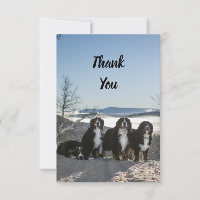 Tarjeta De Agradecimiento grupo de perros de montaña de bernesa (Anverso)