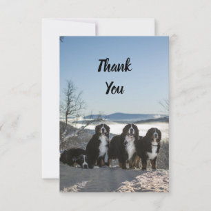 Tarjeta De Agradecimiento grupo de perros de montaña de bernesa