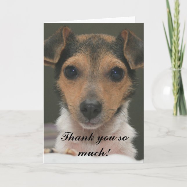 Tarjeta De Agradecimiento Hamlin - ¡Muchas gracias! (Anverso)