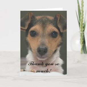 Tarjeta De Agradecimiento Hamlin - ¡Muchas gracias!