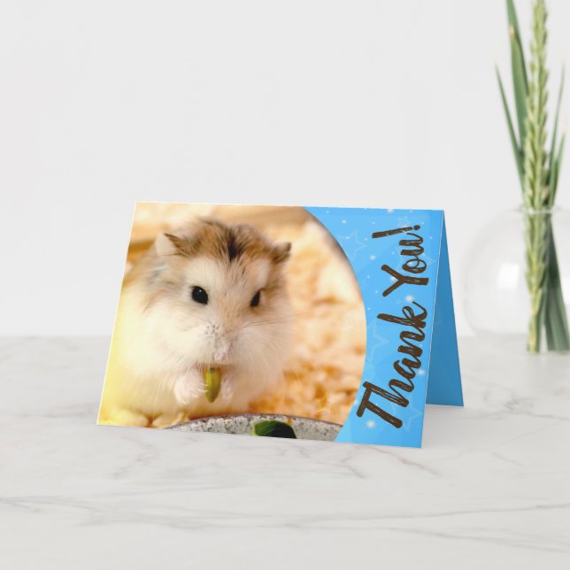 Tarjeta De Agradecimiento Hammyville - Cute Hamster Gracias (Anverso)