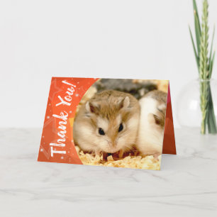 Tarjeta De Agradecimiento Hammyville - Cute Hamster Gracias