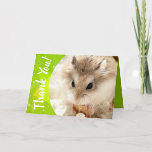 Tarjeta De Agradecimiento Hammyville - Cute Hamster Gracias