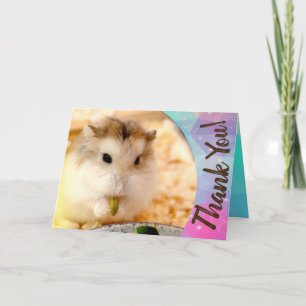 Tarjeta De Agradecimiento Hammyville - Cute Hamster Gracias