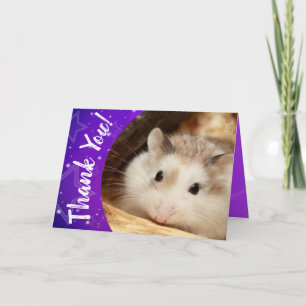 Tarjeta De Agradecimiento Hammyville - el hámster lindo le agradece