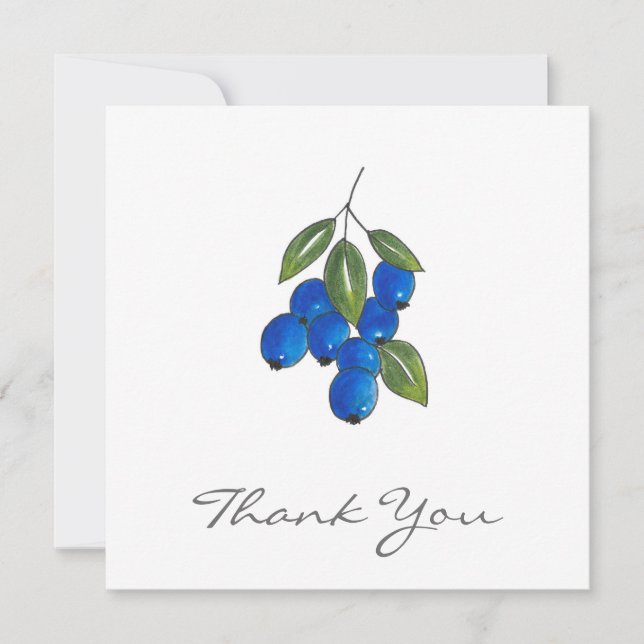 Tarjeta De Agradecimiento Hand Drawn Blueberries (Anverso)