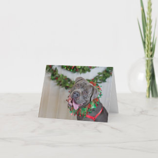 Tarjeta De Agradecimiento Happy Dog Christmas Card
