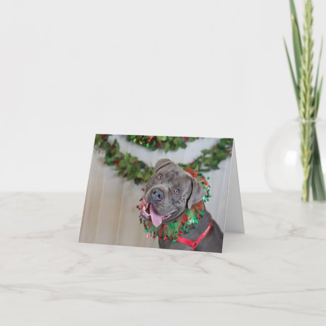 Tarjeta De Agradecimiento Happy Dog Christmas Card (Anverso)
