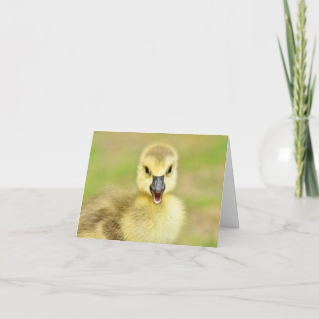 Tarjeta De Agradecimiento Happy Gosling (Canada Goose #2) - Blank Note Card (Anverso)