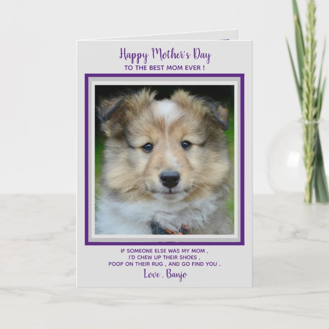 Tarjeta De Agradecimiento Happy Mother's Day- Funny Cute Dog Mom - Pet Photo (Anverso)