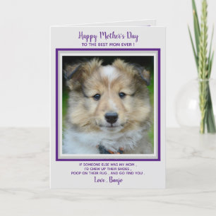 Tarjeta De Agradecimiento Happy Mother's Day- Funny Cute Dog Mom - Pet Photo