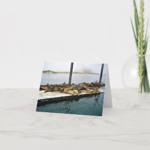 Tarjeta De Agradecimiento Harbour Seals, Morro Bay, California