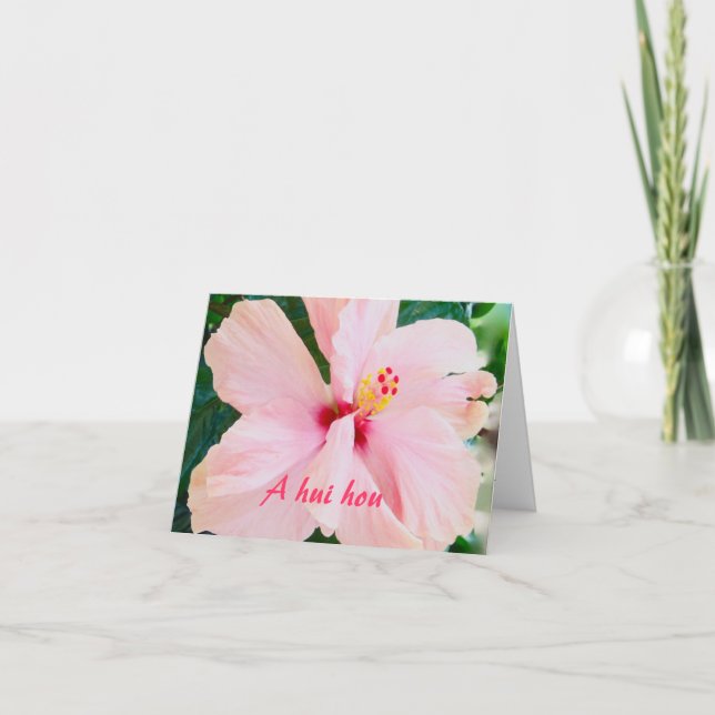 Tarjeta De Agradecimiento Hasta que resolvemos otra vez condolencia del (Anverso)