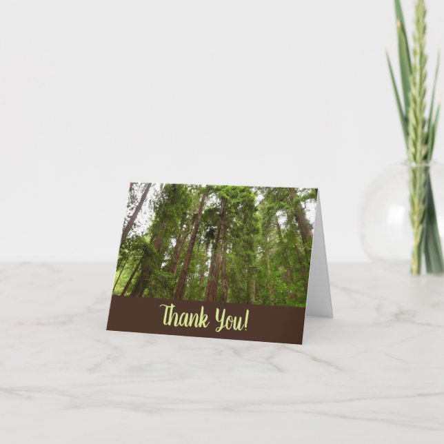 Tarjeta De Agradecimiento Hasta Redwoods I (Anverso)