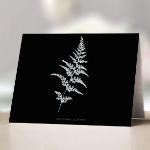 Tarjeta De Agradecimiento Helecho Goldback Jamaicano, Gymnogramma Sulphurea
