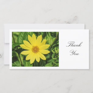Tarjeta De Agradecimiento Helianthus 'Lemon Queen' Sunflower - Gracias