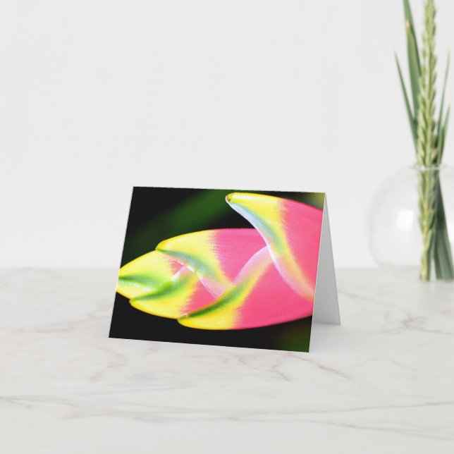 Tarjeta De Agradecimiento Heliconia Vietnamita Toda Ocasión Notecard (Anverso)