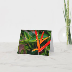 Tarjeta De Agradecimiento Heliconia Vietnamita Toda Ocasión Notecard