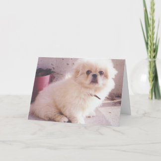 Tarjeta De Agradecimiento Hércules como perrito