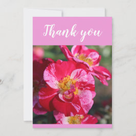 Tarjeta De Agradecimiento Hermosa flor Rosa rayada roja y rosa