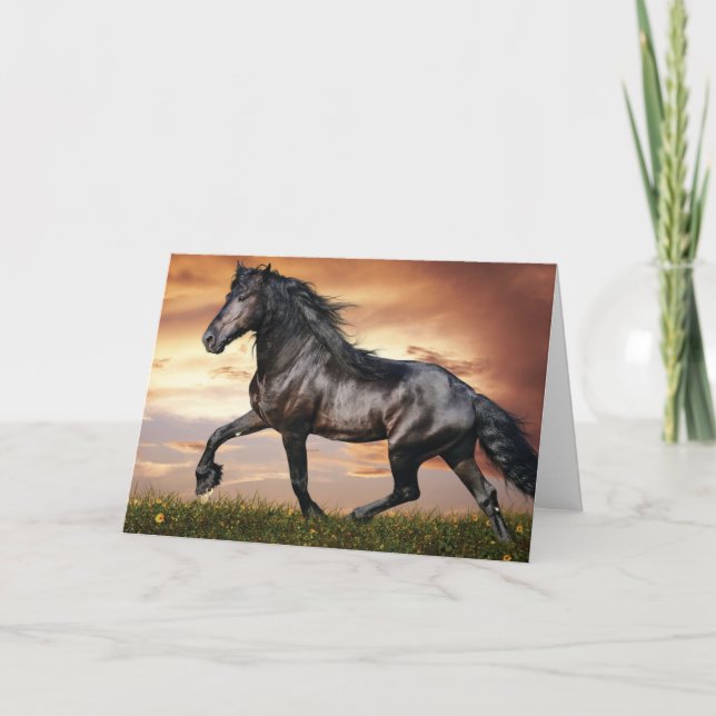 Tarjeta De Agradecimiento Hermoso caballo negro (Anverso)