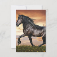 Hermoso caballo negro