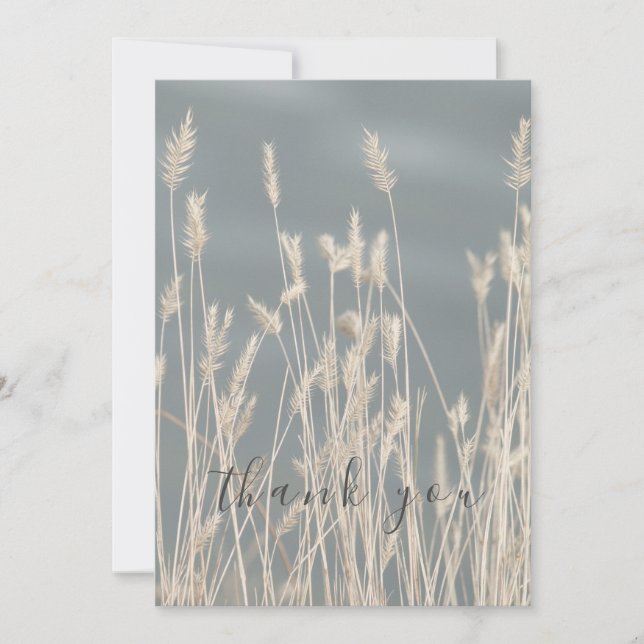 Tarjeta De Agradecimiento Hermoso Sunbleached Grass Blue Sky Gracias (Anverso)