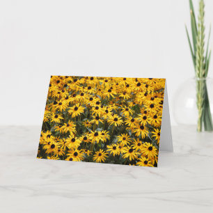 Tarjeta De Agradecimiento Hermosos girasoles, muchos y muchos ojos negros